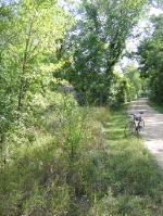 The Rails Remain To This Day!